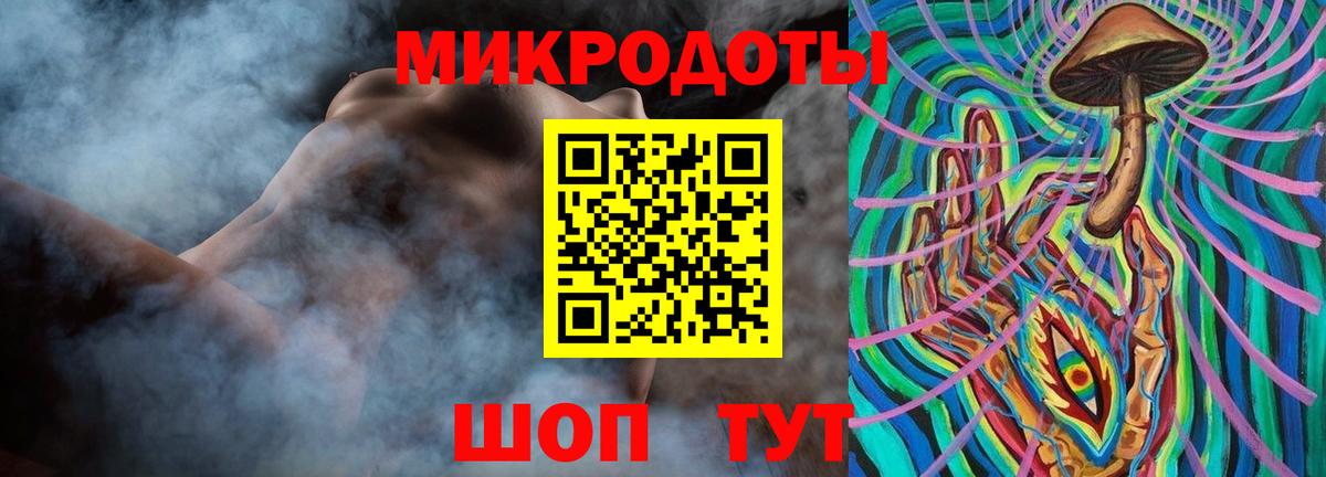 Галлюциногенные грибы Psilocybe Нальчик